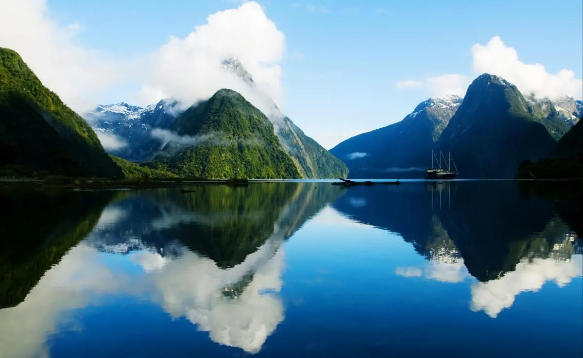 智能自动化智能